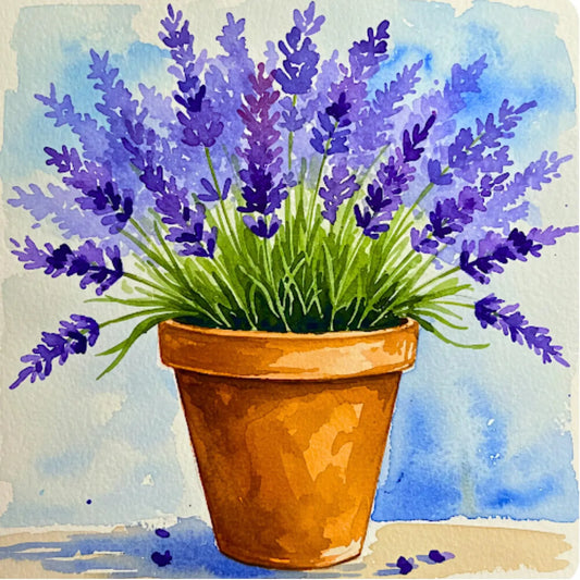 Lavender Fest Paint Event at Hidden Spring Lavender and Alpaca
